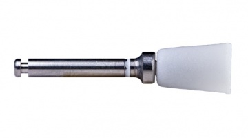 Cupule : Ref. 0181
